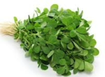 Green Leafy Methi